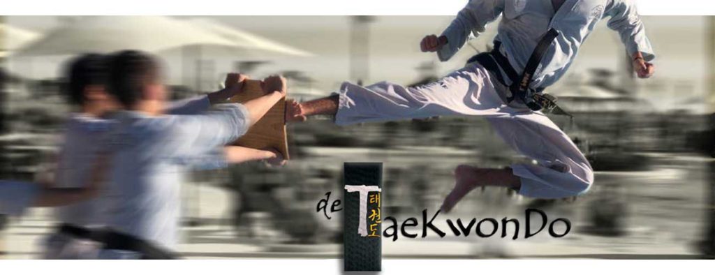 de taekwondo online, patada de taekwondo